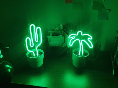 Néons cactus et palmier verts